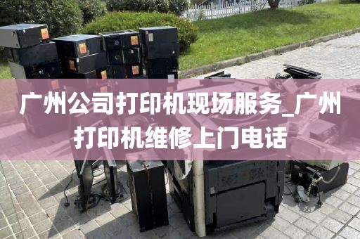 广州公司打印机现场服务_广州打印机维修上门电话