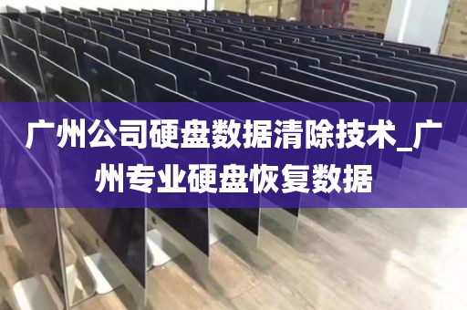 广州公司硬盘数据清除技术_广州专业硬盘恢复数据