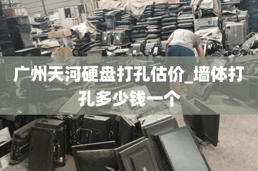 广州天河硬盘打孔估价_墙体打孔多少钱一个