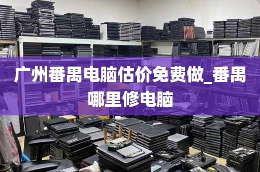 广州番禺电脑估价免费做_番禺哪里修电脑