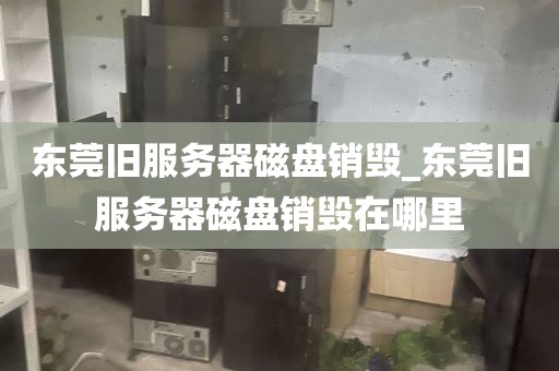 东莞旧服务器磁盘销毁_东莞旧服务器磁盘销毁在哪里