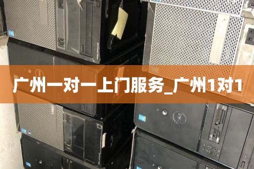广州一对一上门服务_广州1对1