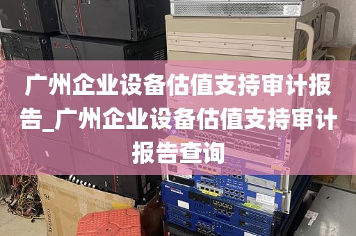 广州企业设备估值支持审计报告_广州企业设备估值支持审计报告查询