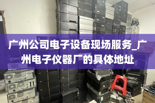 广州公司电子设备现场服务_广州电子仪器厂的具体地址