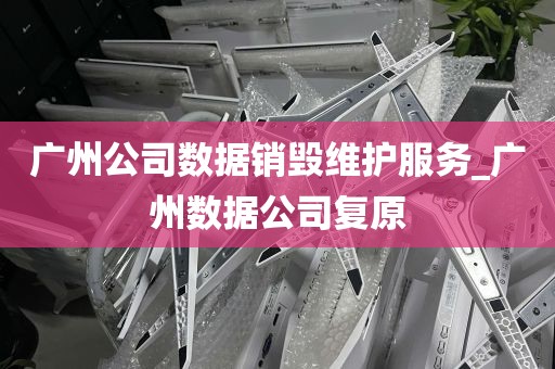 广州公司数据销毁维护服务_广州数据公司复原