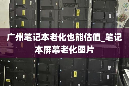 广州笔记本老化也能估值_笔记本屏幕老化图片