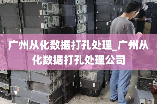 广州从化数据打孔处理_广州从化数据打孔处理公司