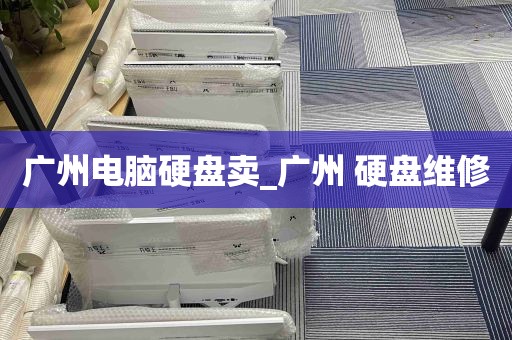 广州电脑硬盘卖_广州 硬盘维修