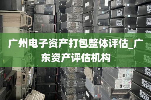 广州电子资产打包整体评估_广东资产评估机构