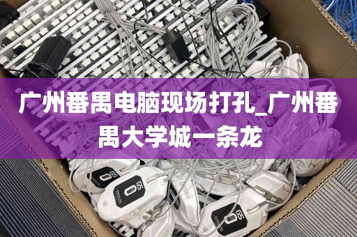 广州番禺电脑现场打孔_广州番禺大学城一条龙