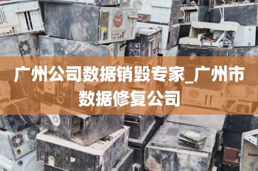 广州公司数据销毁专家_广州市数据修复公司