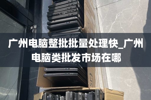 广州电脑整批批量处理快_广州电脑类批发市场在哪