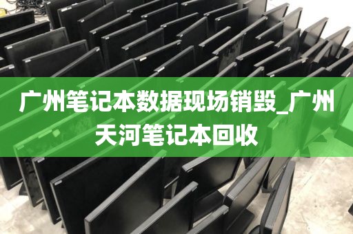 广州笔记本数据现场销毁_广州天河笔记本回收