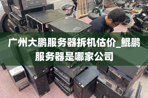 广州大鹏服务器拆机估价_鲲鹏服务器是哪家公司