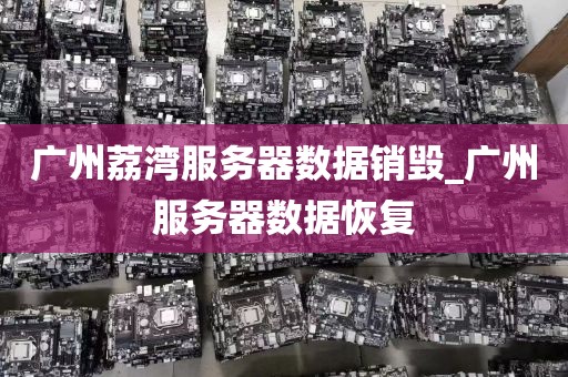 广州荔湾服务器数据销毁_广州服务器数据恢复