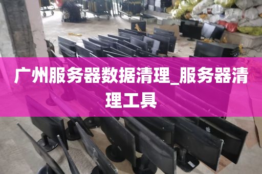 广州服务器数据清理_服务器清理工具