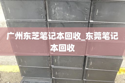 广州东芝笔记本回收_东莞笔记本回收