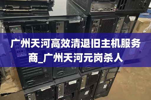 广州天河高效清退旧主机服务商_广州天河元岗杀人