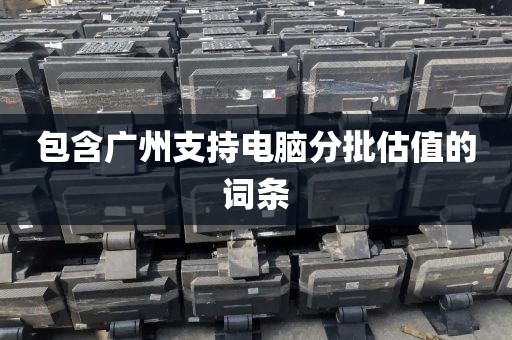 包含广州支持电脑分批估值的词条