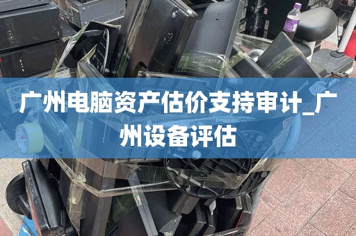 广州电脑资产估价支持审计_广州设备评估