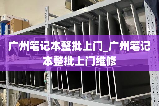 广州笔记本整批上门_广州笔记本整批上门维修
