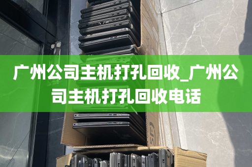 广州公司主机打孔回收_广州公司主机打孔回收电话