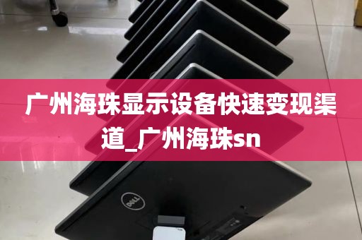 广州海珠显示设备快速变现渠道_广州海珠sn