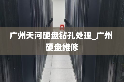 广州天河硬盘钻孔处理_广州 硬盘维修