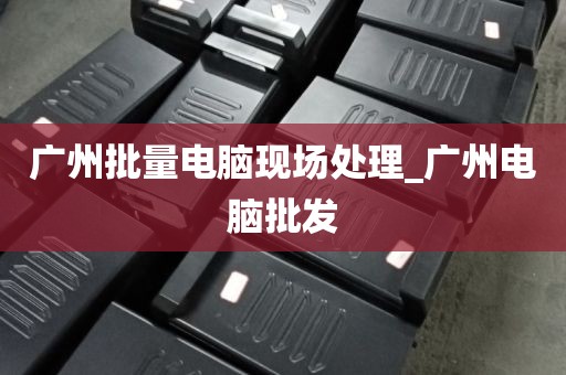 广州批量电脑现场处理_广州电脑批发