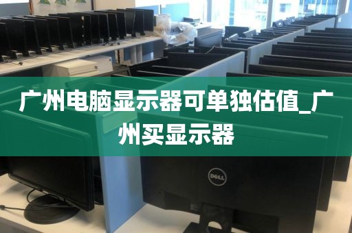广州电脑显示器可单独估值_广州买显示器
