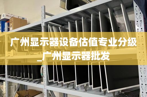 广州显示器设备估值专业分级_广州显示器批发