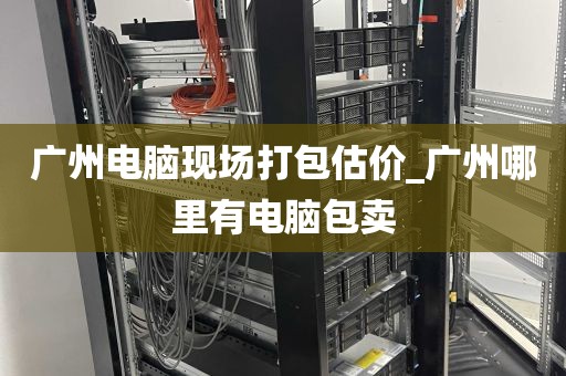 广州电脑现场打包估价_广州哪里有电脑包卖