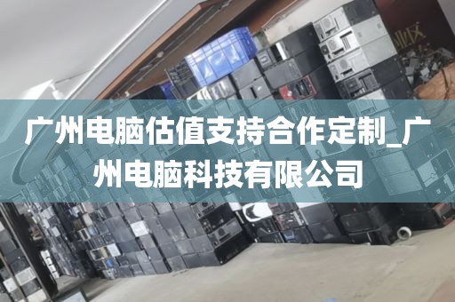 广州电脑估值支持合作定制_广州电脑科技有限公司