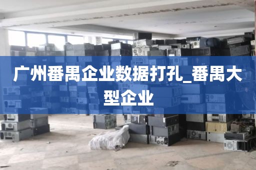 广州番禺企业数据打孔_番禺大型企业