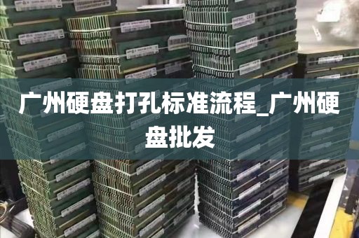 广州硬盘打孔标准流程_广州硬盘批发