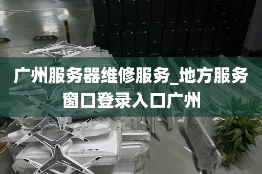 广州服务器维修服务_地方服务窗口登录入口广州