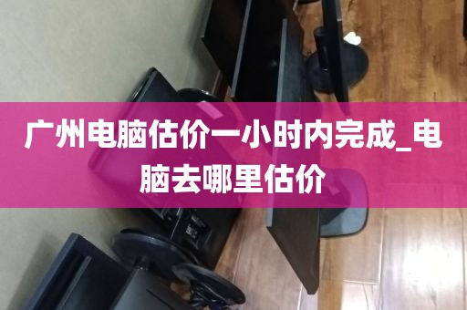 广州电脑估价一小时内完成_电脑去哪里估价