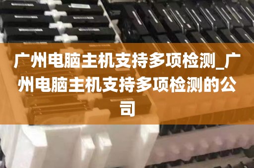 广州电脑主机支持多项检测_广州电脑主机支持多项检测的公司