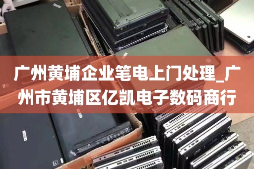 广州黄埔企业笔电上门处理_广州市黄埔区亿凯电子数码商行