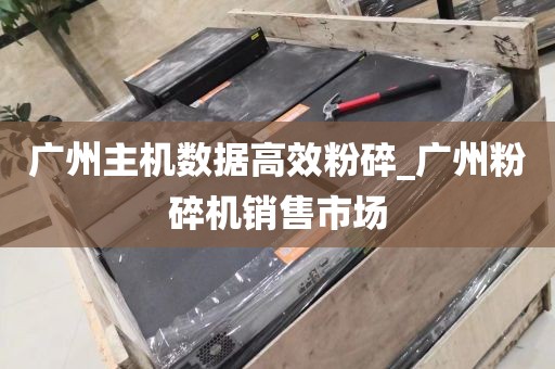 广州主机数据高效粉碎_广州粉碎机销售市场