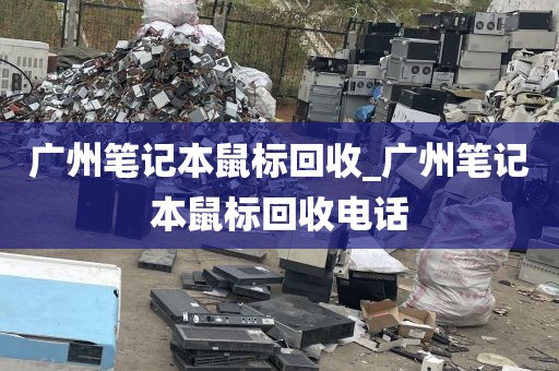 广州笔记本鼠标回收_广州笔记本鼠标回收电话