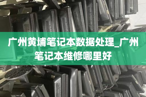 广州黄埔笔记本数据处理_广州笔记本维修哪里好