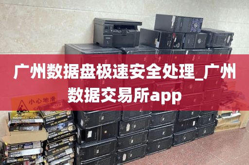 广州数据盘极速安全处理_广州数据交易所app