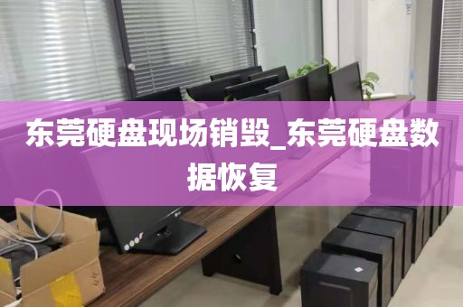 东莞硬盘现场销毁_东莞硬盘数据恢复