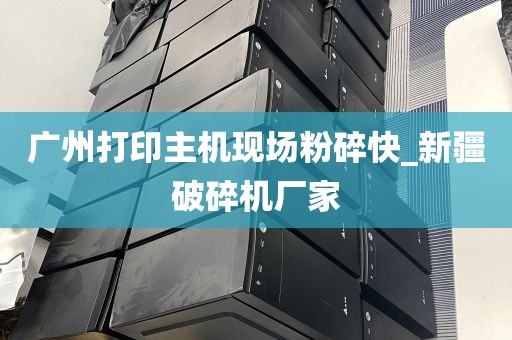 广州打印主机现场粉碎快_新疆破碎机厂家
