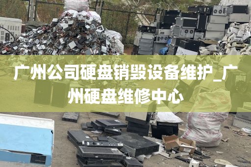 广州公司硬盘销毁设备维护_广州硬盘维修中心