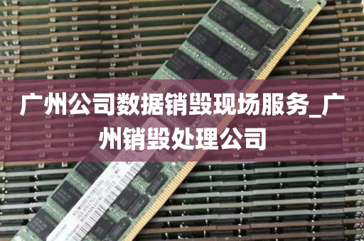 广州公司数据销毁现场服务_广州销毁处理公司