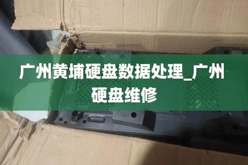 广州黄埔硬盘数据处理_广州 硬盘维修