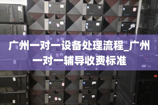 广州一对一设备处理流程_广州一对一辅导收费标准