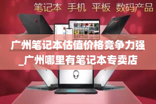 广州笔记本估值价格竞争力强_广州哪里有笔记本专卖店